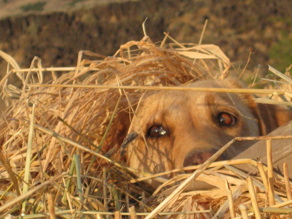 2010-10-09 17-10-40.JPG