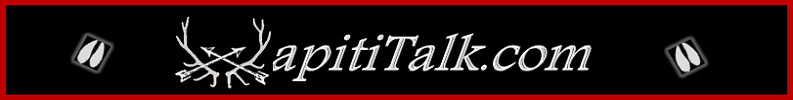 wapititalk-logo.png
