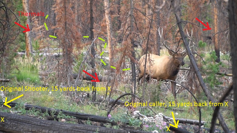 Elk1 w-Mark up.jpg