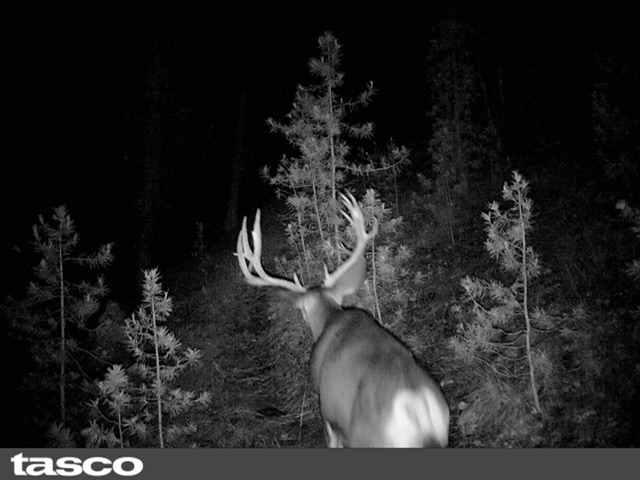 #4 ElkHunttoo May 23.jpeg