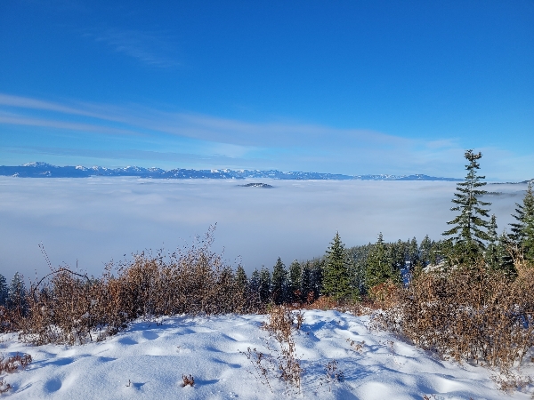 20221123_122721_copy_600x450.jpg