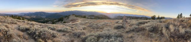 IMG_2784.jpeg