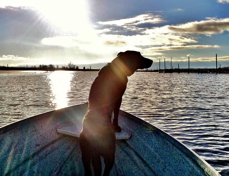 chloe in boat.jpeg