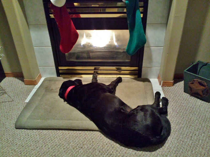2013-12-31 22.02.12.jpg