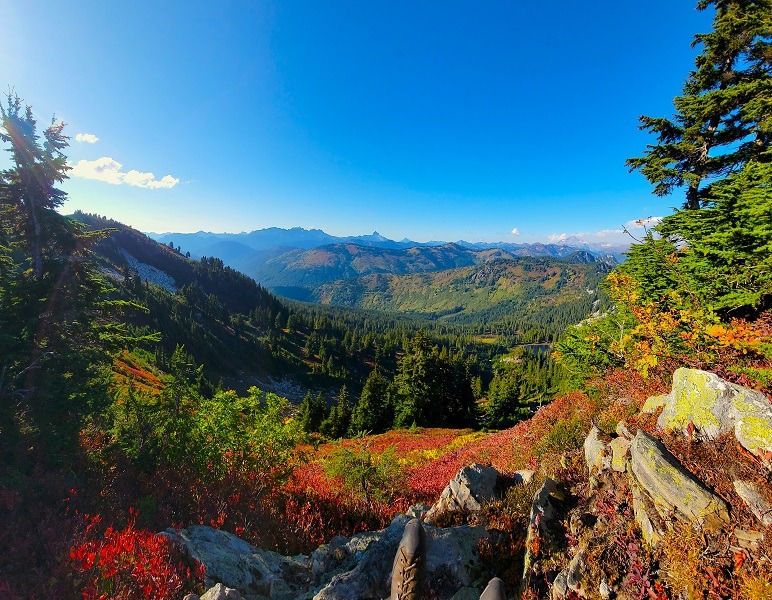 #3, SEP 23, Fall Colors, 7mm.png