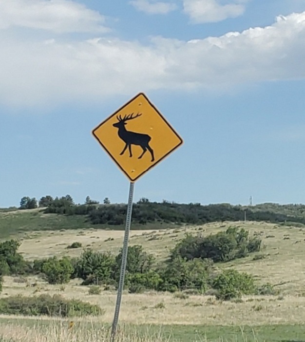 MAR 23 - Elk sign.jpg