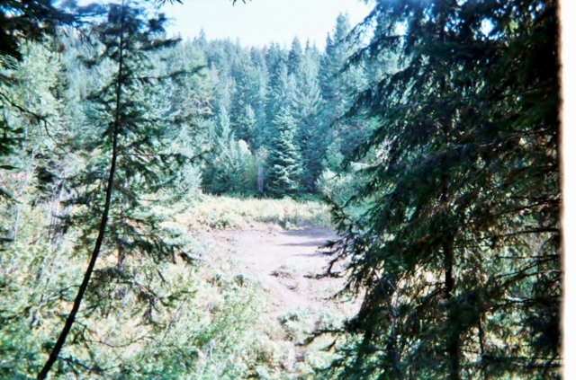 11A (640x423).jpg