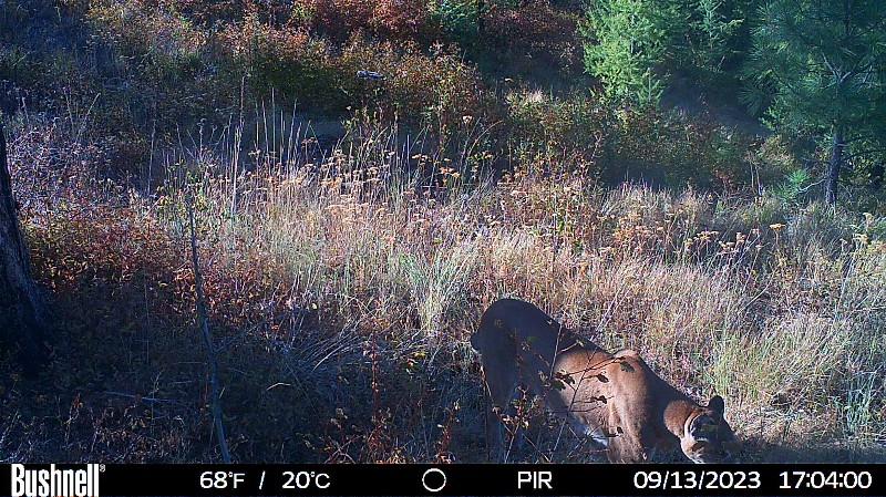 HUNT0288_copy_800x449.jpg
