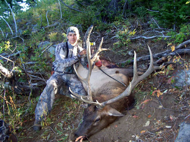 2 Pauls 2008 ID elk.jpg