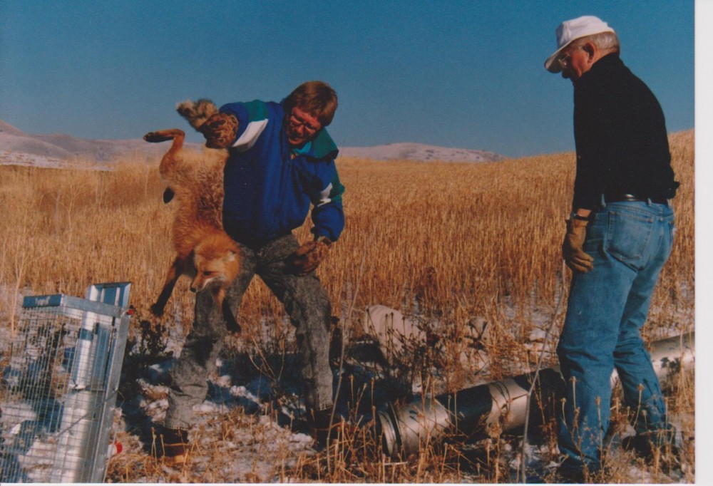 #8-OCT 24-Fur, fangs, and claws-Lefty.jpg