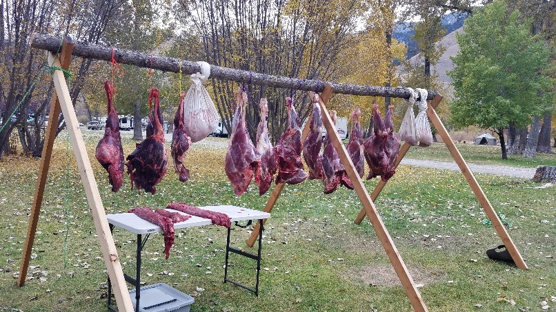 #7-SEP 24-Nice grouping-7mmfan.jpg