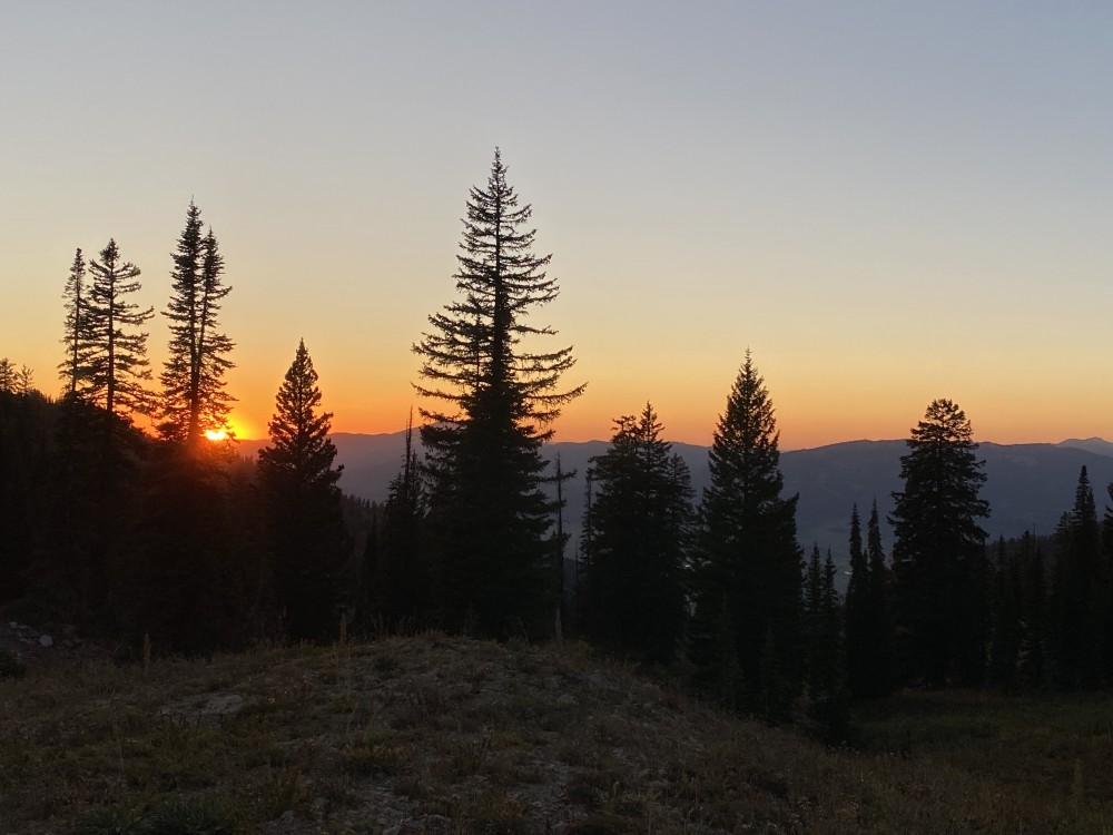 #4-JUN 24-Sunrise Sunset-IS.jpeg