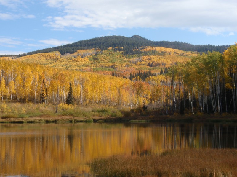 PA010384.JPG