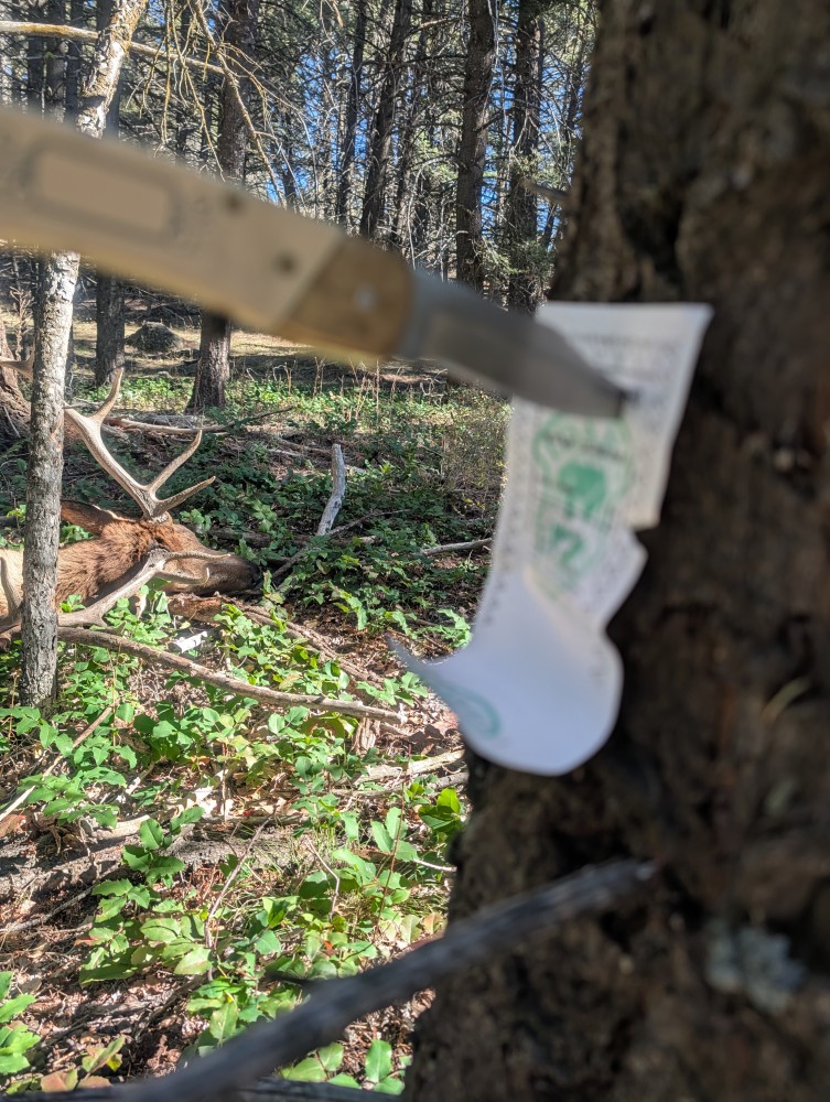 #7LeftySEP-NOV25Theme-My Elk Hunt.jpg