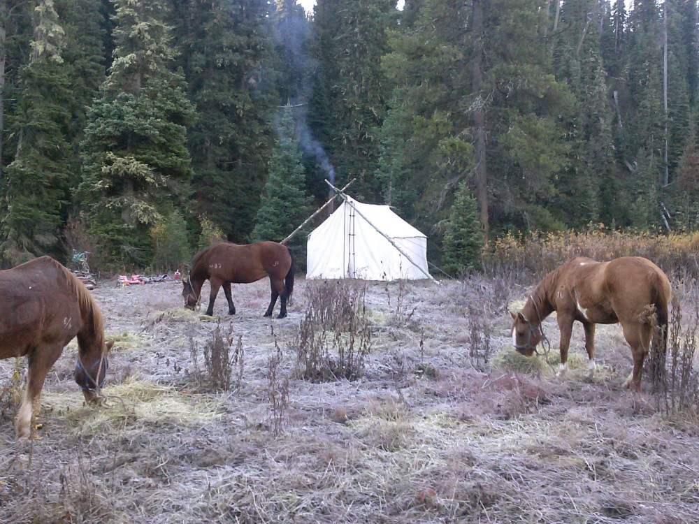 #6ISAUG25Theme-Hunting Camp.jpeg