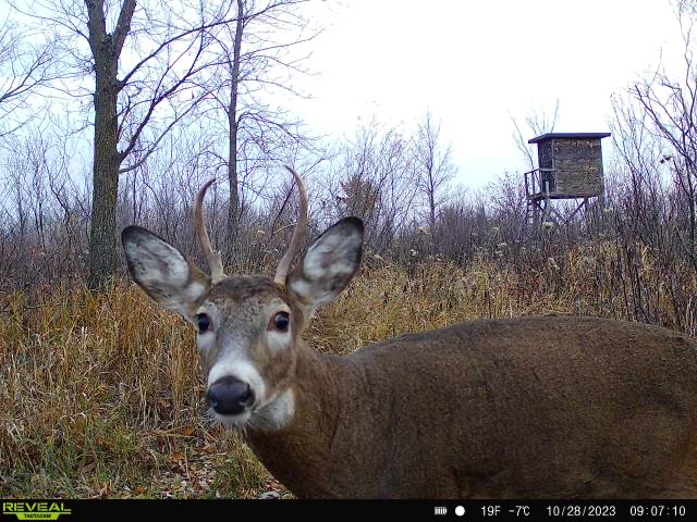 #4TiggerJUN25Theme-Up close and personal.JPG