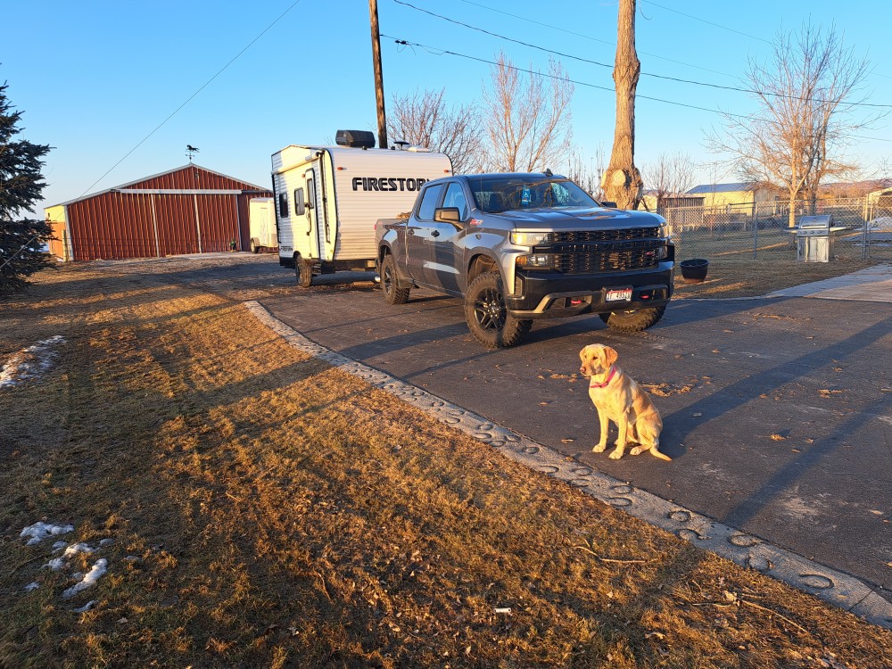snow goose ready to go 3162023.jpg