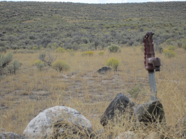 IMG_4725 (Small).JPG