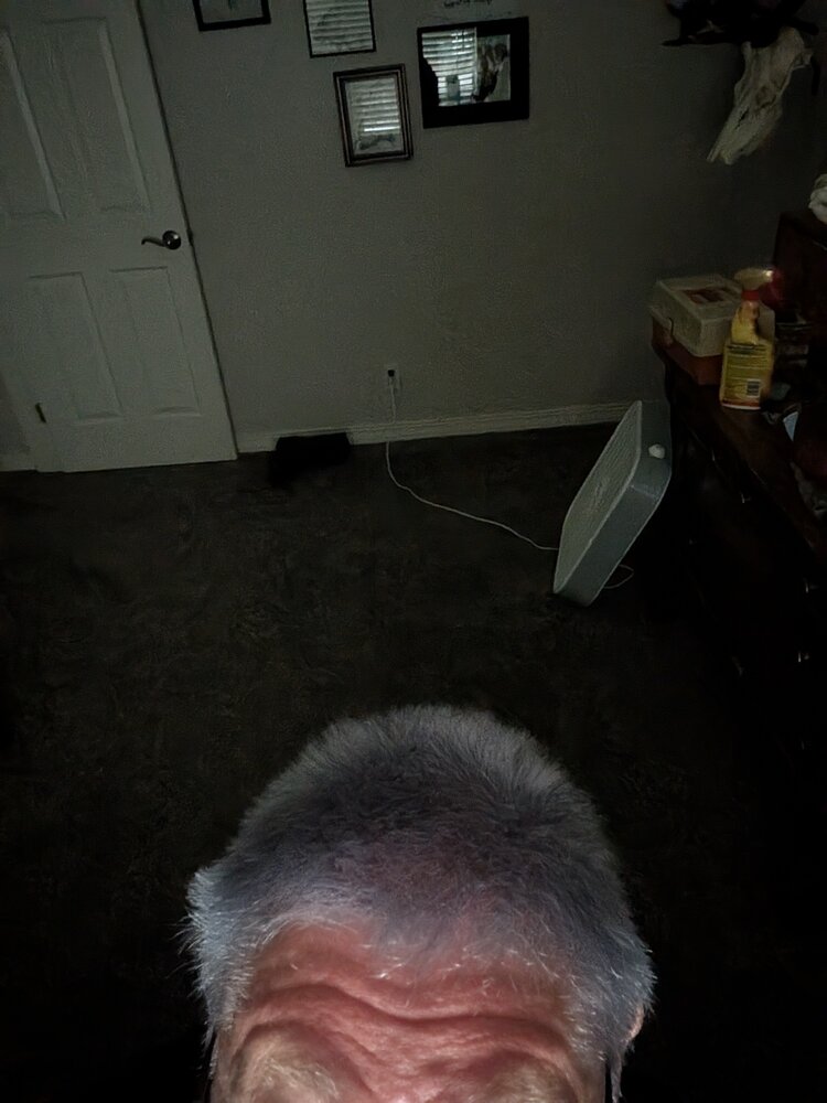 PXL_20260715_014855782.jpg