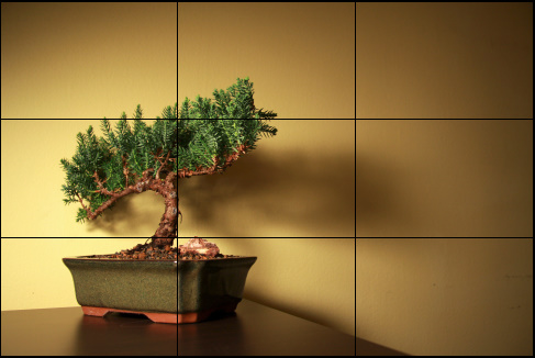 bonsai_ruleofthirds.jpg