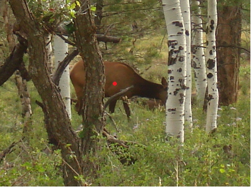 cowelk_zps46478e2a.jpg