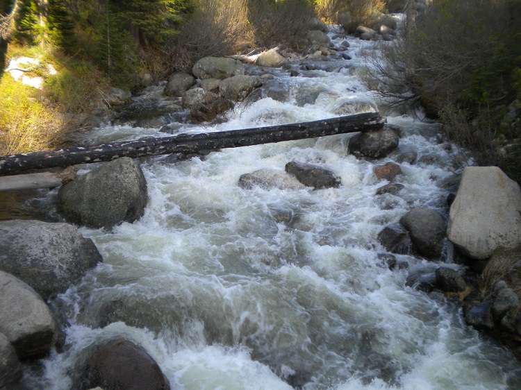 DSCN2227.JPG