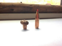 lisas cell bullet pics 008.jpg
