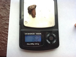 lisas cell bullet pics 010.jpg