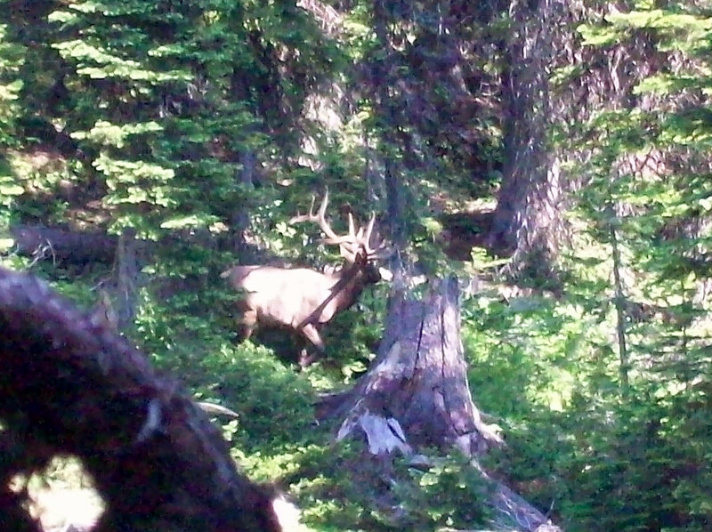 107_0642 (2) (800x598).jpg