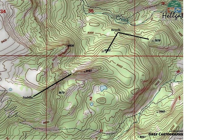 TOPO EX.jpg