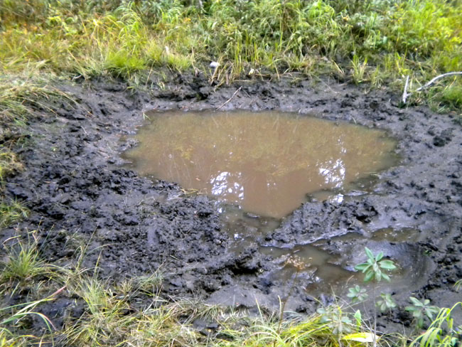 Sept -24-2010 - 01.jpg