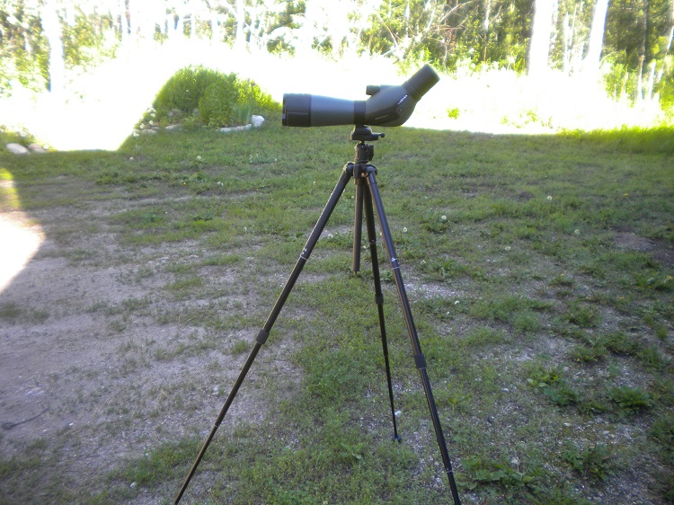 DSCN2239.JPG
