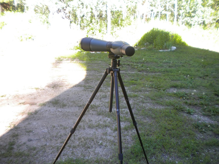 DSCN2240.JPG