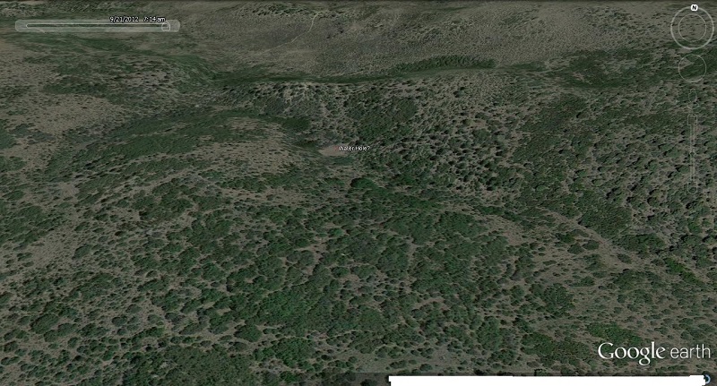 Water Hole.jpg