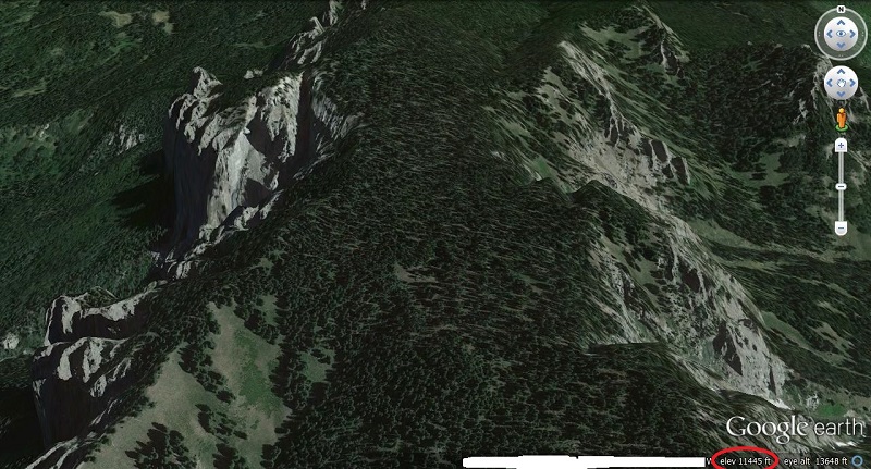 Elk.jpg