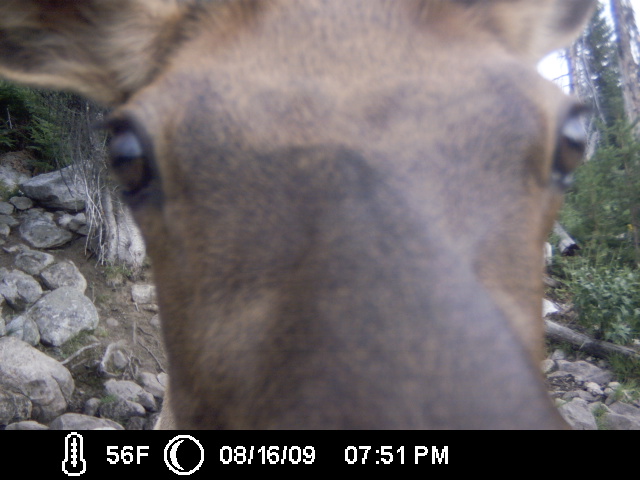 ICAM0019.JPG