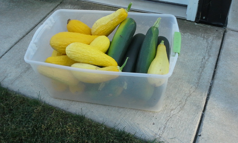 20130710_190721.jpg