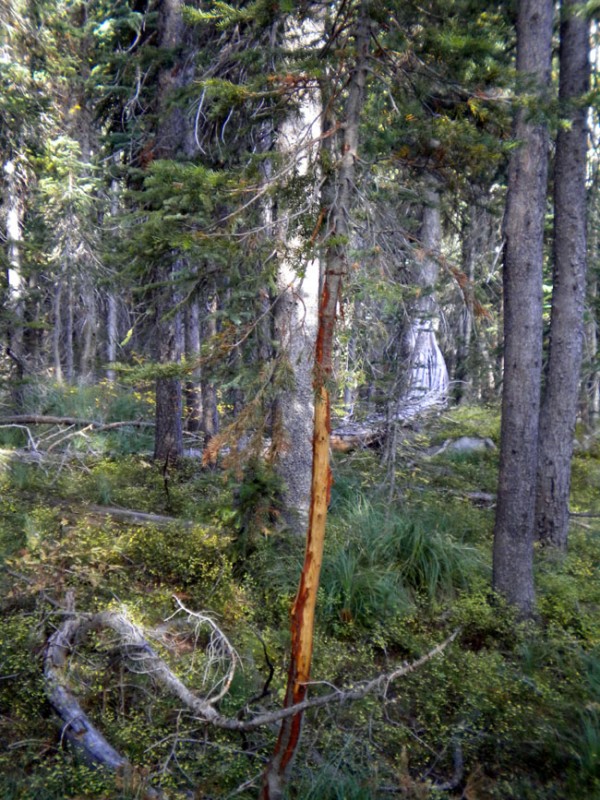 Sept -24-2010 -08.jpg