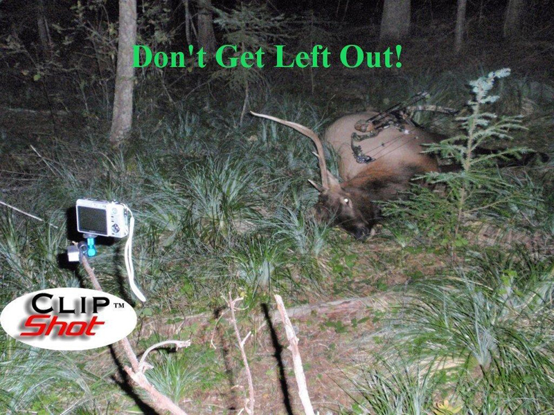 Elk Hunting Solo - 2012 (800 x 600).jpg