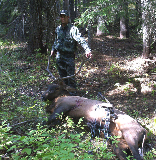 2010 Elk Paul II Camera 1.jpg