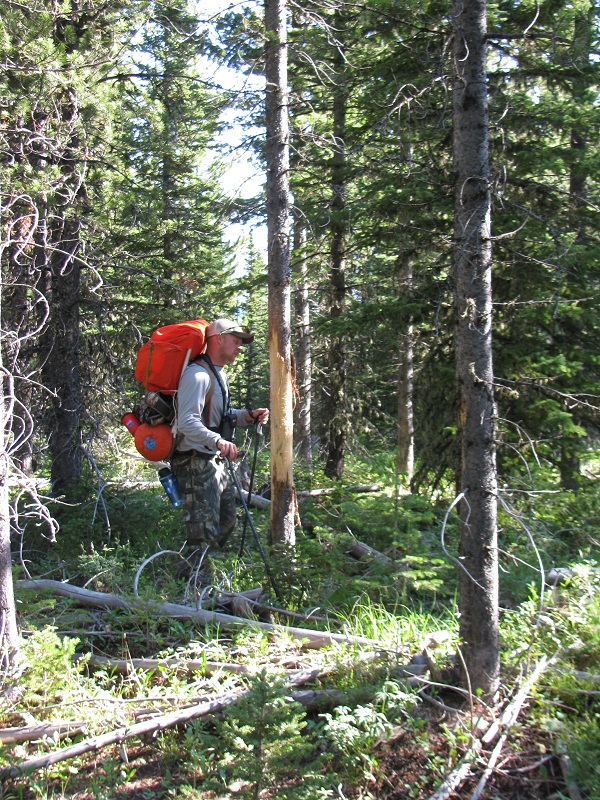 Rub#2 7100'.JPG