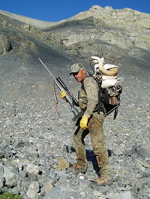 BigHornSheep2.jpg