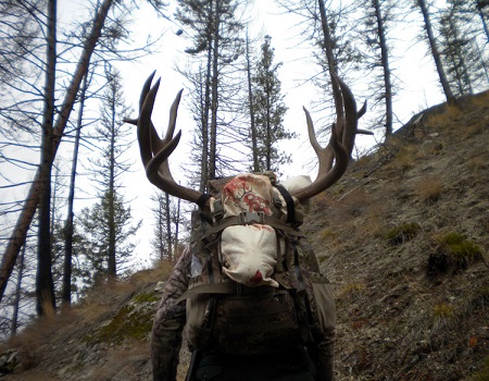 Paul 2012 Buck - 40-2.jpg
