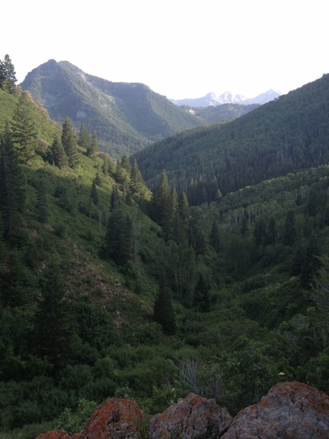ImageUploadedByTapatalk1375788233.054370.jpg