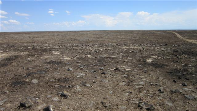 IMG_0525 (Small).JPG