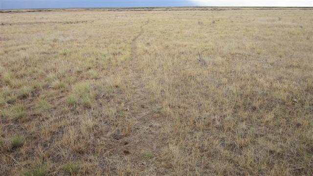 IMG_0534 (Small).JPG