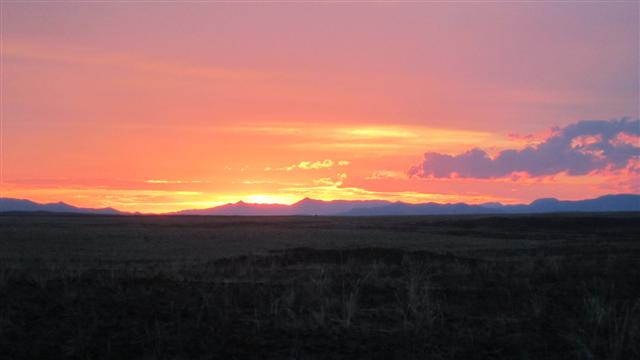 IMG_0540 (Small).JPG