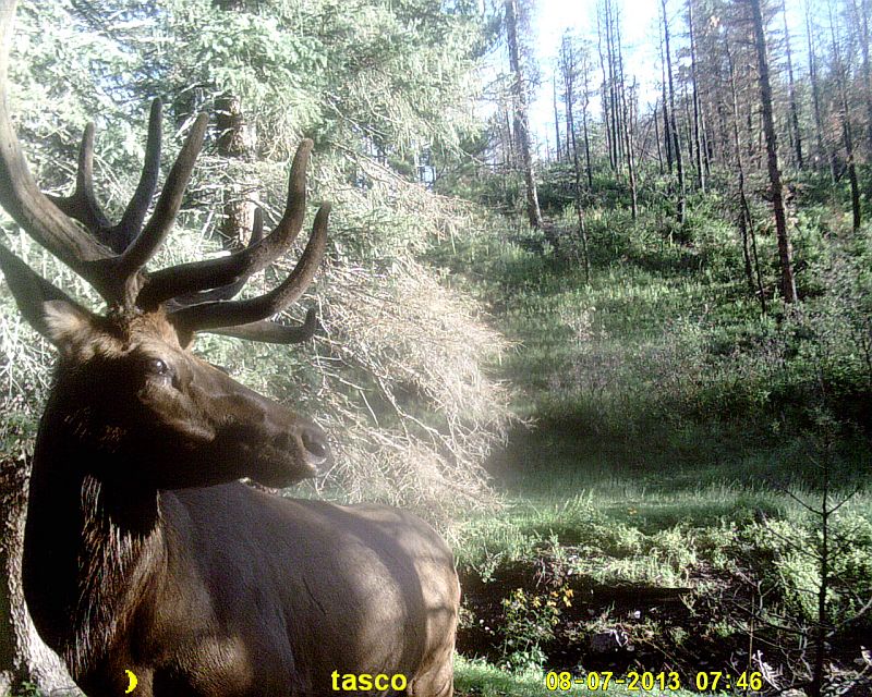 062.JPG