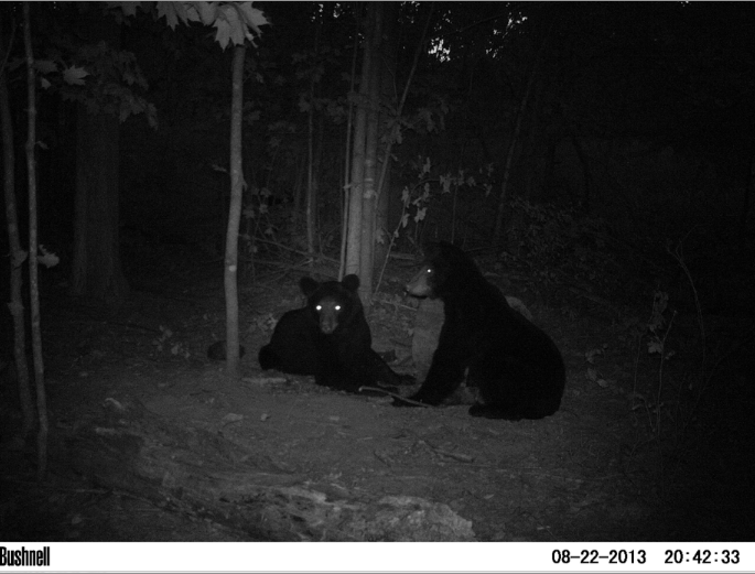 Screen Shot 2013-08-26 at 9.37.49 PM.png