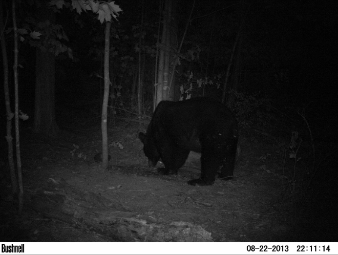 Screen Shot 2013-08-26 at 9.37.28 PM.png